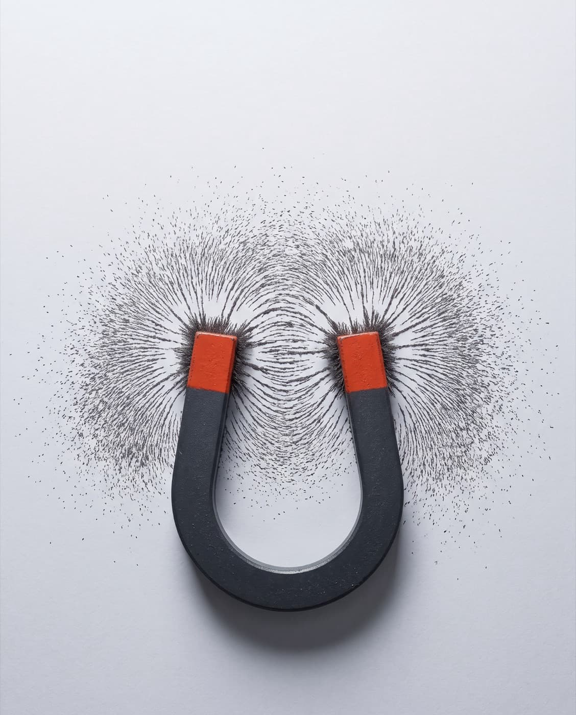 A horseshoe magnet pulling iron filings into curved field lines